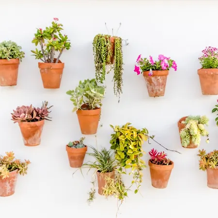 Blancala קאלה בלנקה