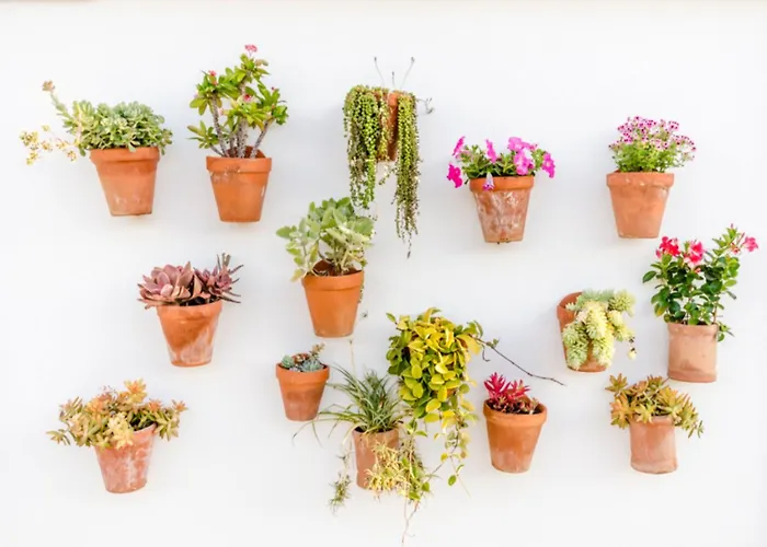 Blancala Cala Blanca (Menorca)